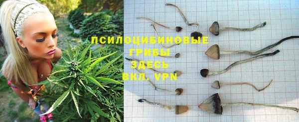 герыч Алексин