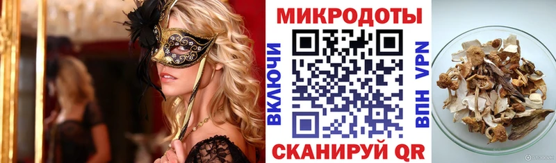 Псилоцибиновые грибы Psilocybine cubensis  Сухиничи 
